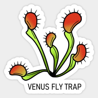 Venus Fly Trap Dionaea Muscipula Carnivorous Plant Gift Sticker